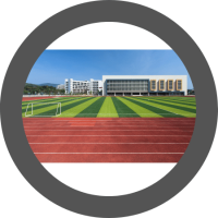28000 Tufted Multiple Sports Ground